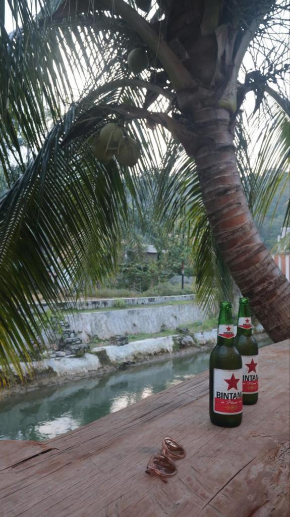 Eco Trekking Lodge, Bar & Jungle Tour'S Bukit Lawang Exterior photo