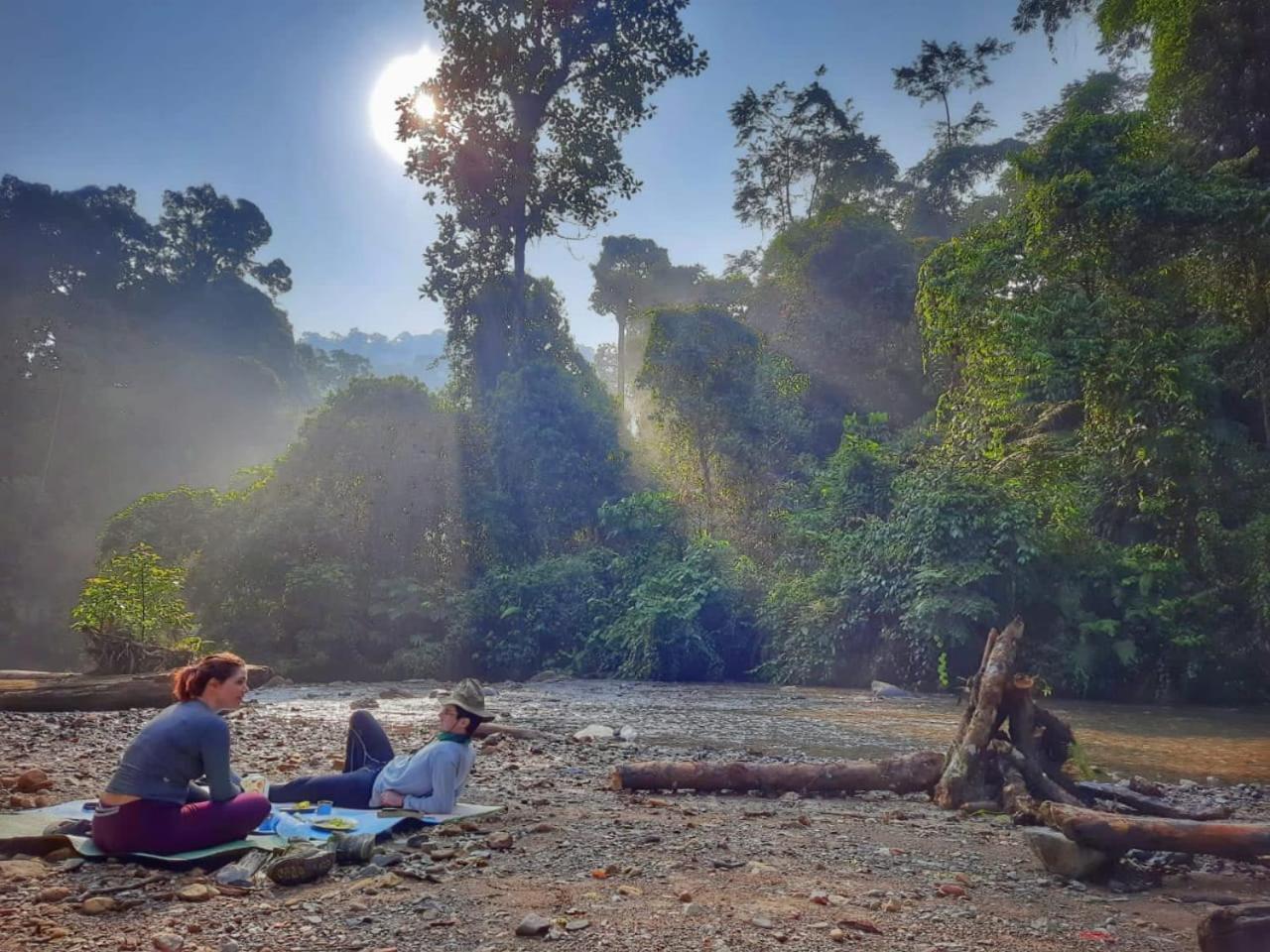Eco Trekking Lodge, Bar & Jungle Tour'S Bukit Lawang Exterior photo