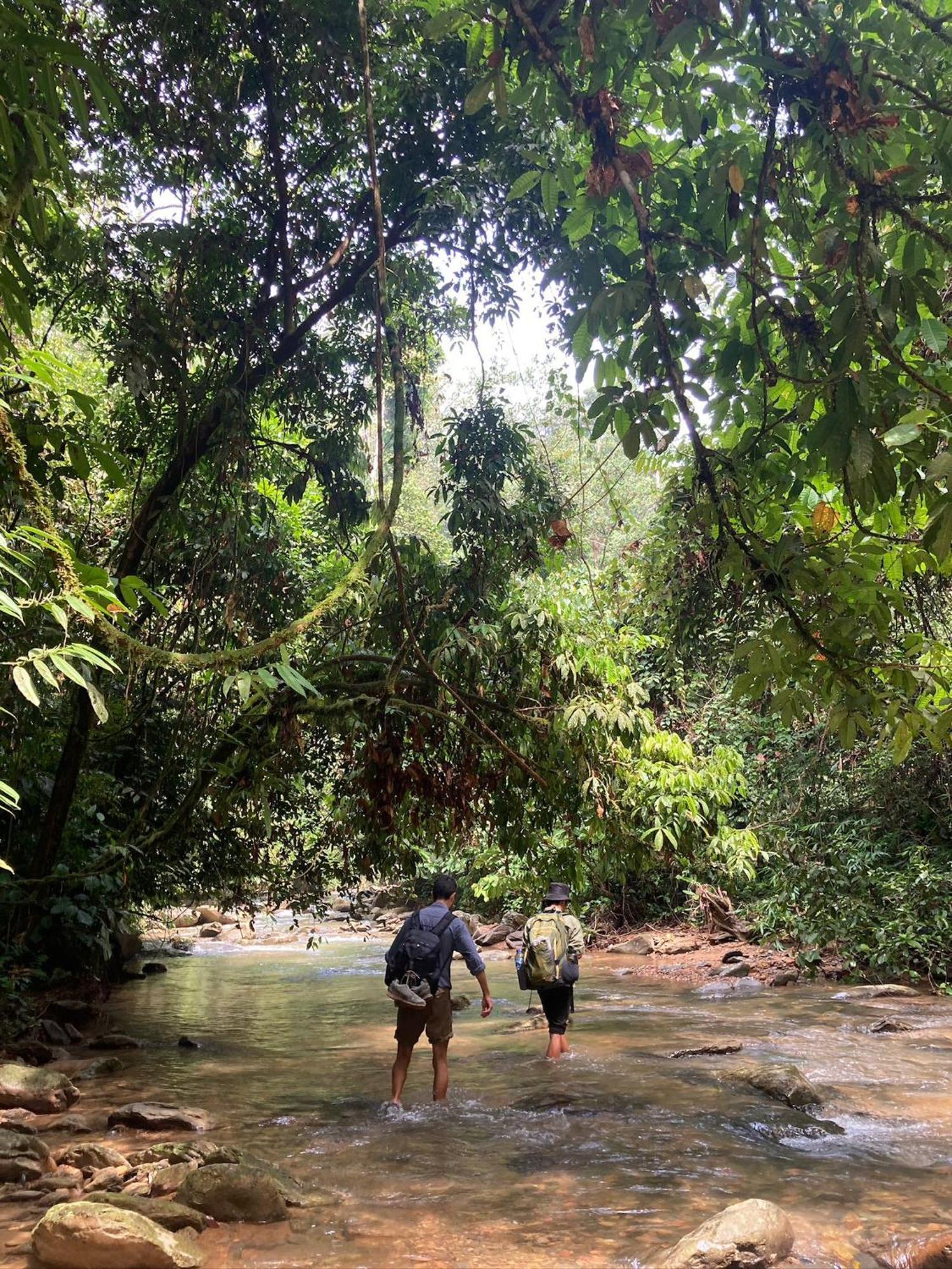 Eco Trekking Lodge, Bar & Jungle Tour'S Bukit Lawang Exterior photo