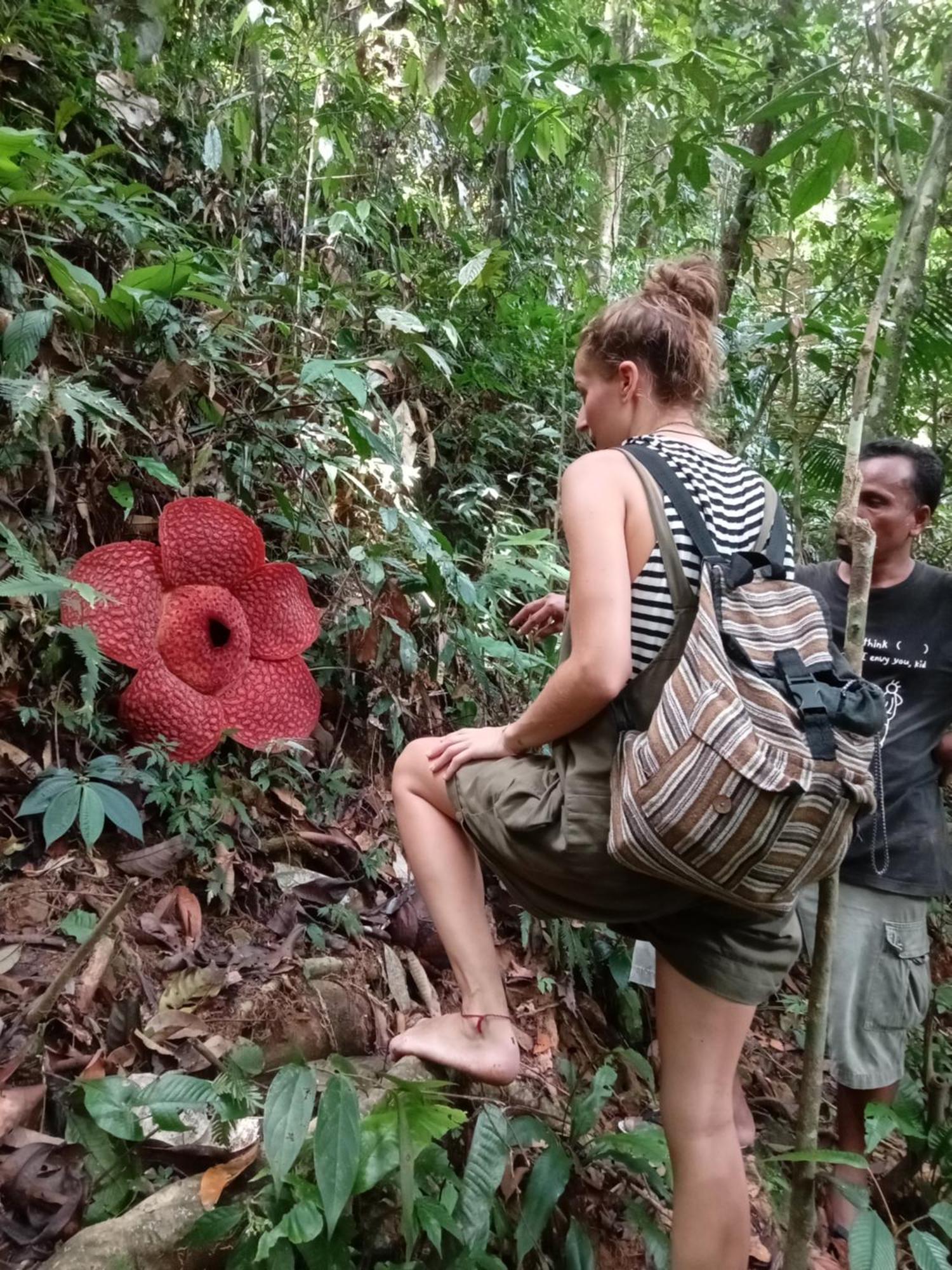 Eco Trekking Lodge, Bar & Jungle Tour'S Bukit Lawang Exterior photo